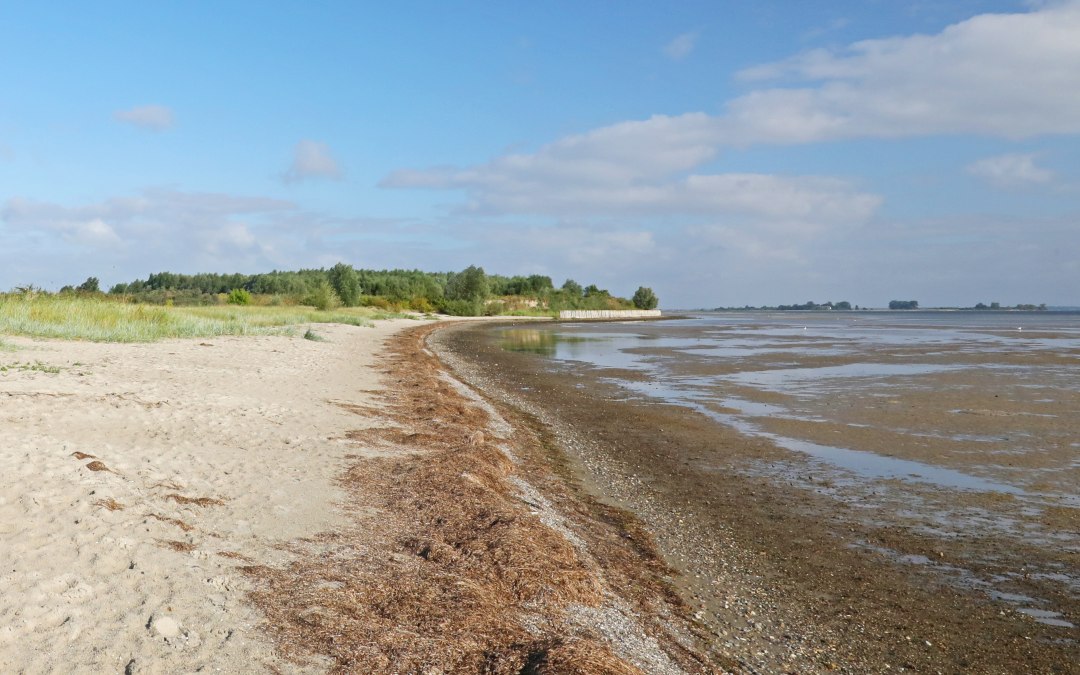 Beach Wampen, © TMV/Gohlke