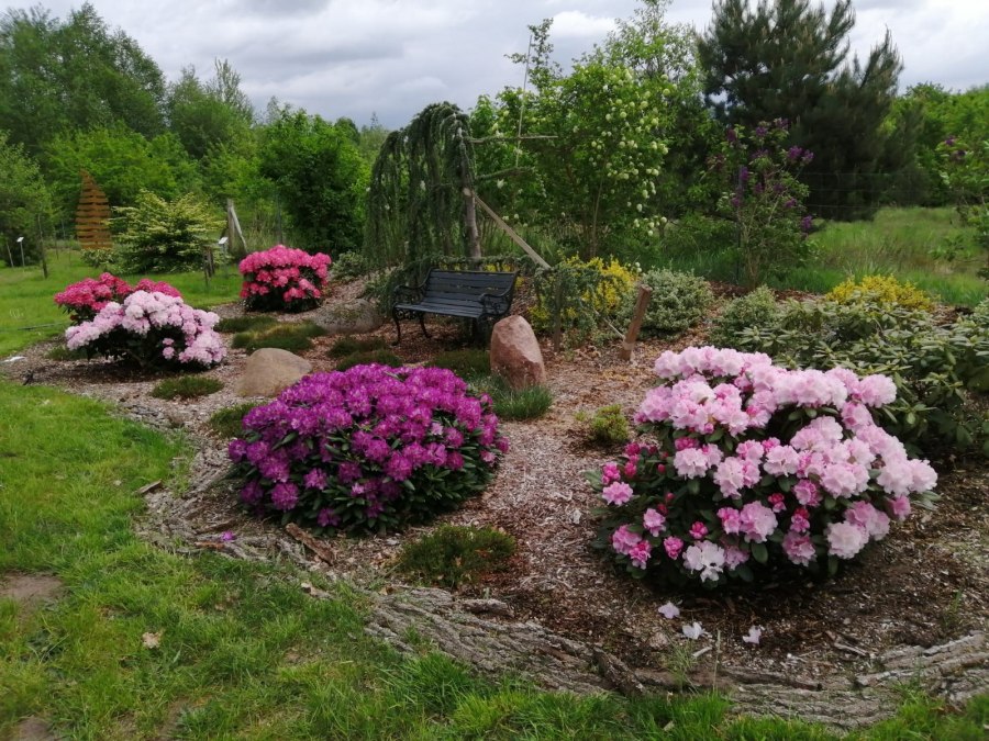 Civic park Kummer_Harry Baase, &copy; Harry Baase