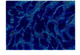 &copy; Bildautor/ Fotograf  Ramona Kenner-M&uuml;ller