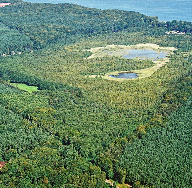 Wockninsee nature reserve // © Fotoarchiv Naturpark Insel Usedom Wockninsee nature reserve // © Fotoarchiv Naturpark Insel Usedom