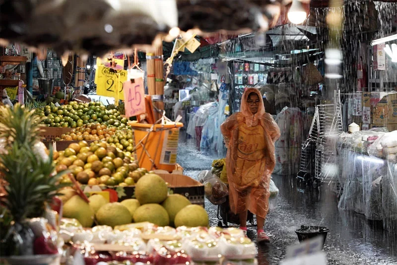 &copy; Fortuna Media Filmverleih