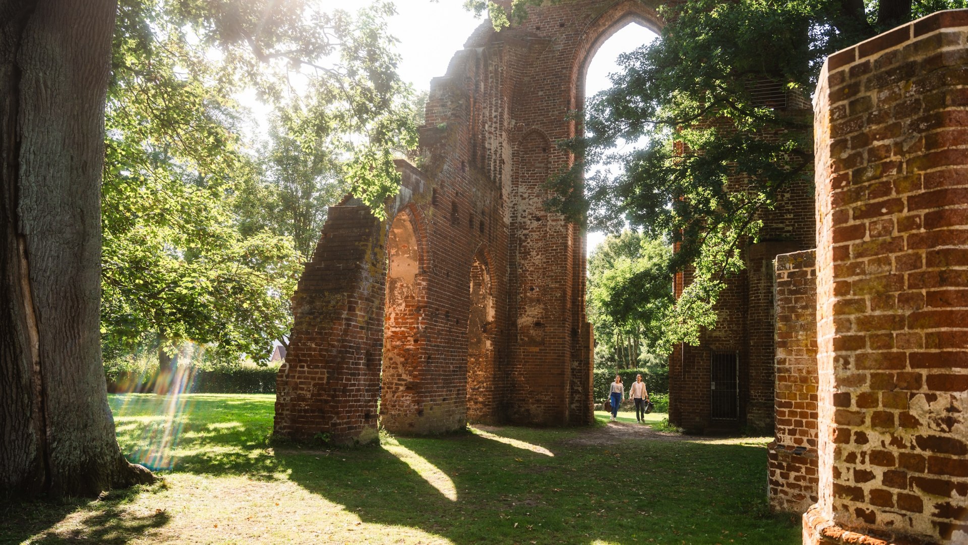The brick ruins of Eldena are like a portal to the past., © TMV/Gross The brick ruins of Eldena near Greifswald between trees and sunshine
