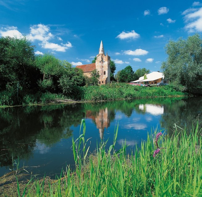 _tollense // &copy; MVT Grundner