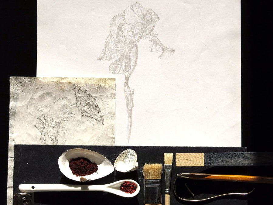 Tekenen met zilver, &copy; Jana Plewa