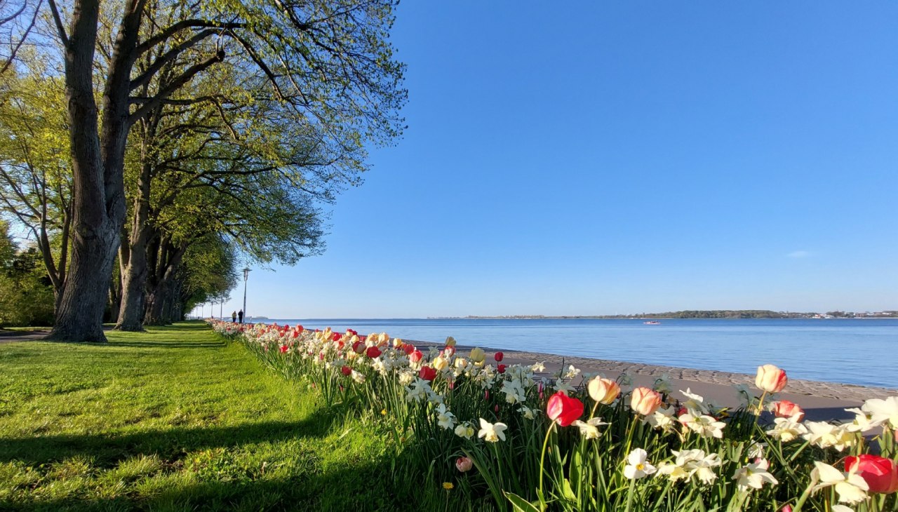 Sundpromenade in spring, &copy; Kredl / TZ HST