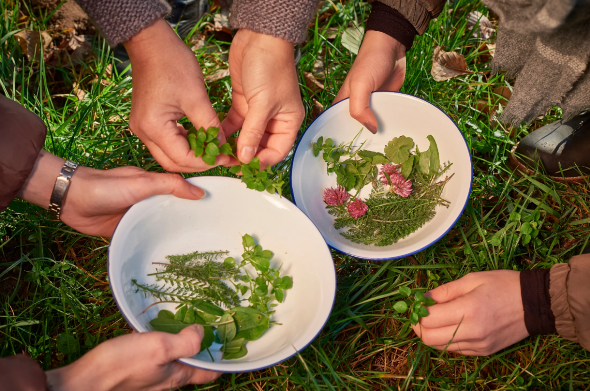 Wędr&oacute;wka po ziołach, &copy; MV-T/Pocha.de