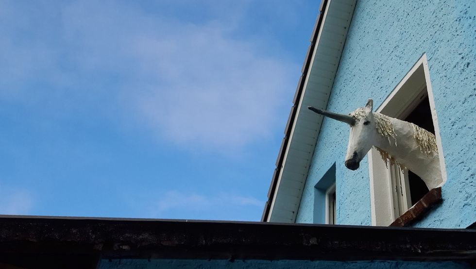 De eenhoorn wil ook graag zien wat er aan de hand is, © Monika Brunsmann-Hoxbergen De eenhoorn wil ook graag zien wat er aan de hand is, © Monika Brunsmann-Hoxbergen