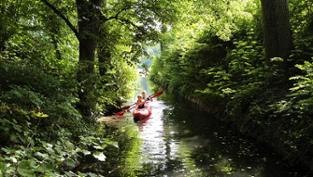 Jungle Tour: A secluded green canal connects the Feldberger Haussee and the Breiter Luzin // &copy; Christiane W&uuml;rtenberger
