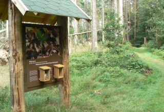 Information board of the forest adventure trail // &copy; Nationalparkamt M&uuml;ritz