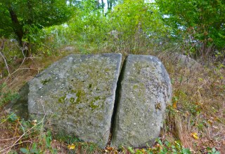 &copy; Arch&auml;o Tour R&uuml;gen