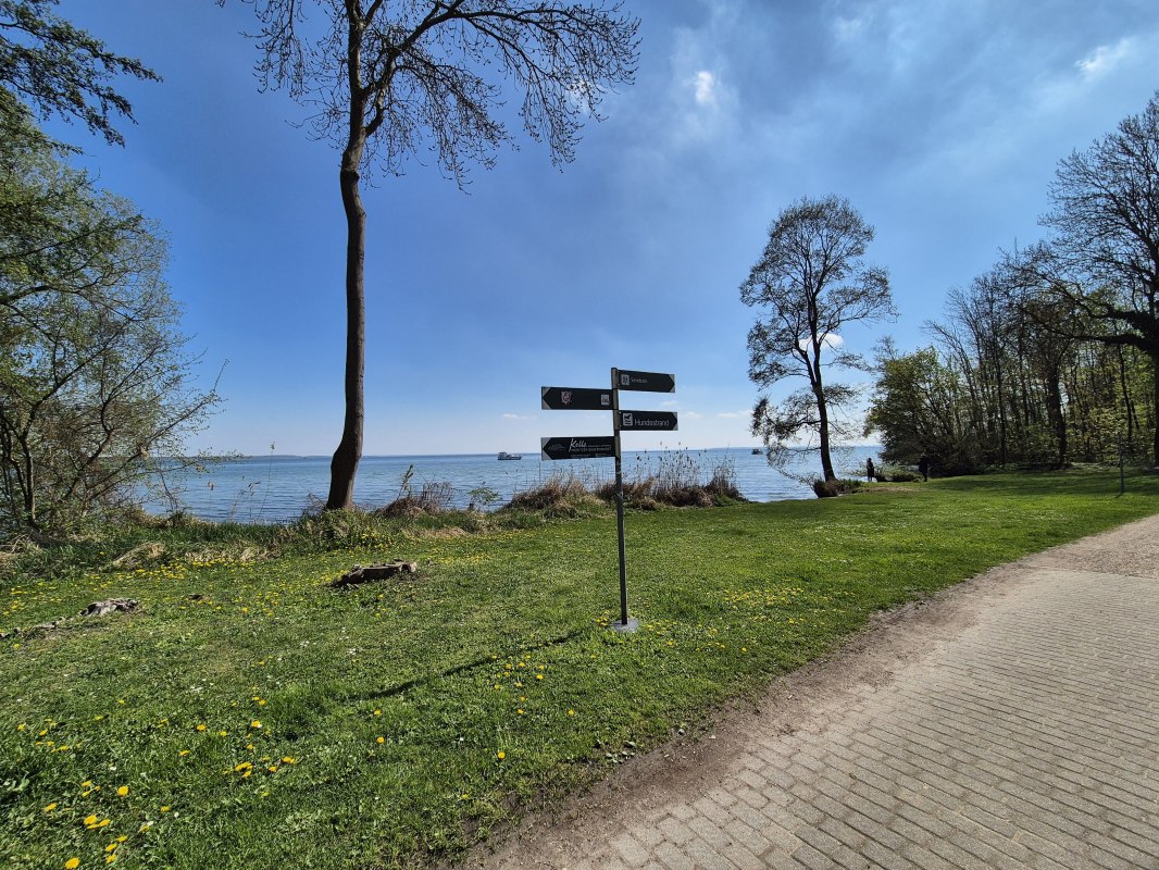 © Gina Schulenberg © Gina Schulenberg