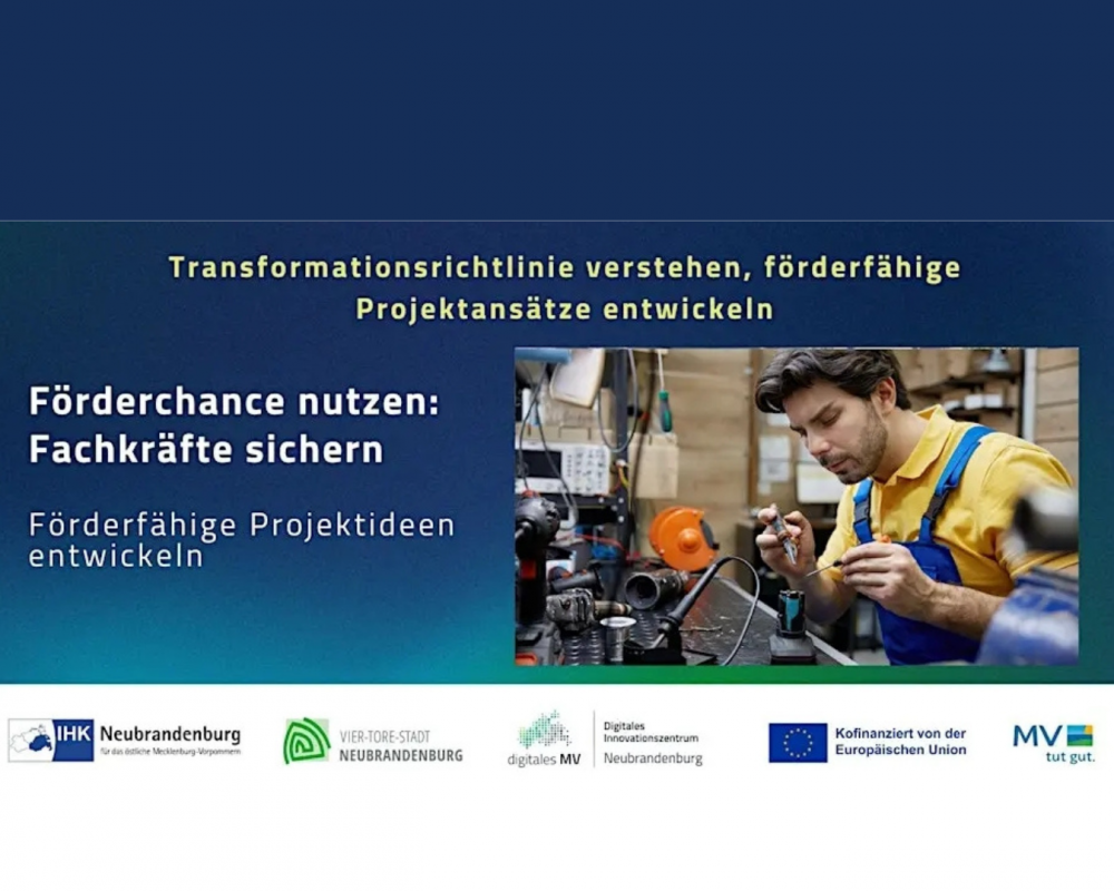 Information event on transformation funding for companies in MV, &copy; Digitales Innovationszentrum Neubrandenburg