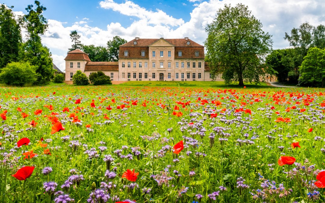Kasteel Kummerow - de noordgevel, © Alexander Rudolph