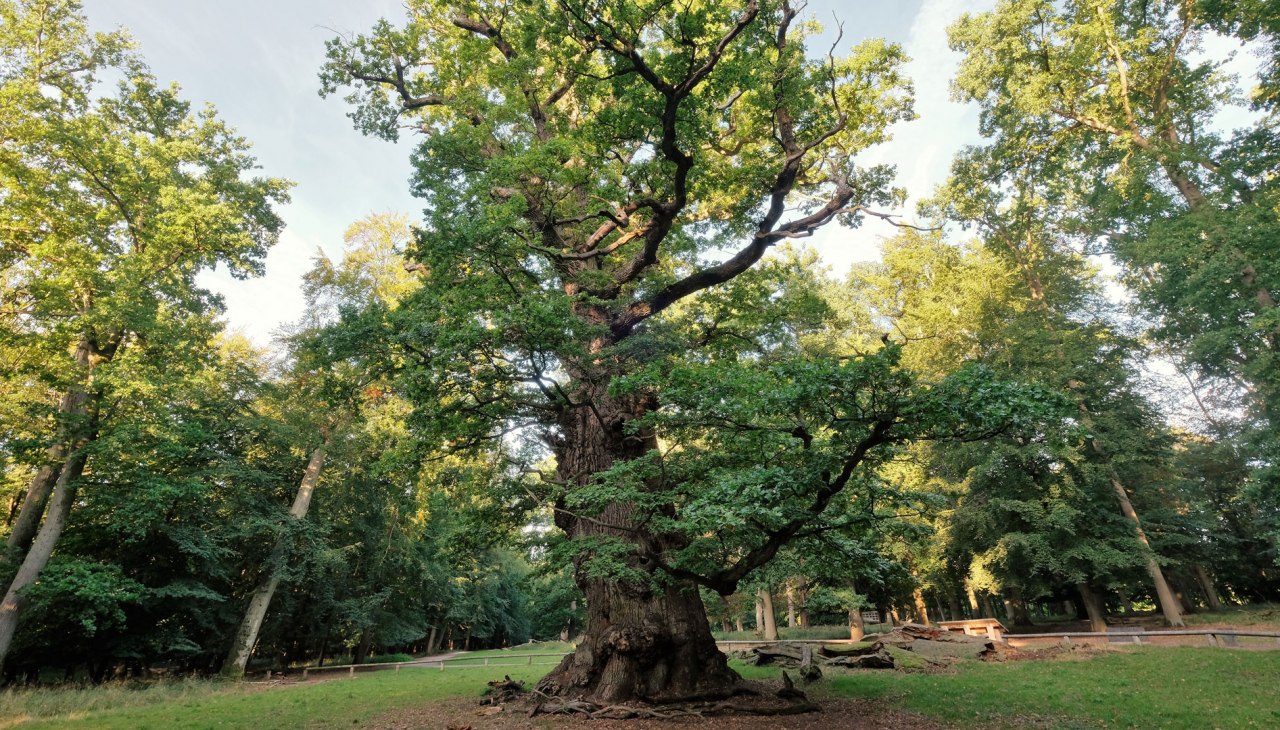 die-tausendjaehrige, © Sebastian Haerter
