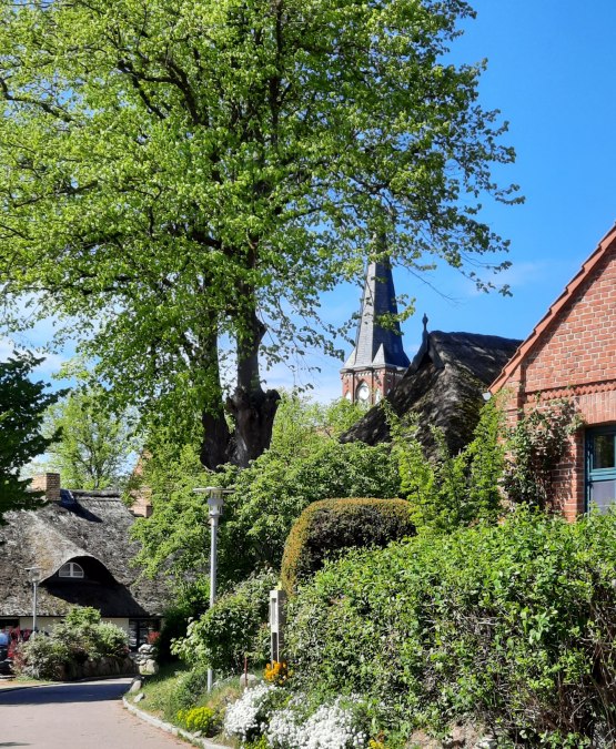 © eigenes Foto © eigenes Foto