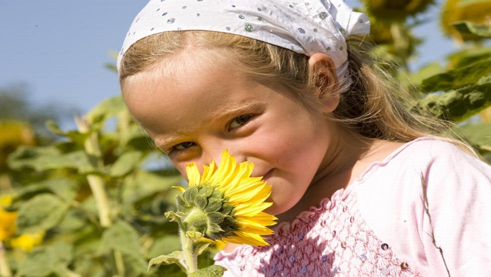 Small critter sunflower, © Vision Foto
