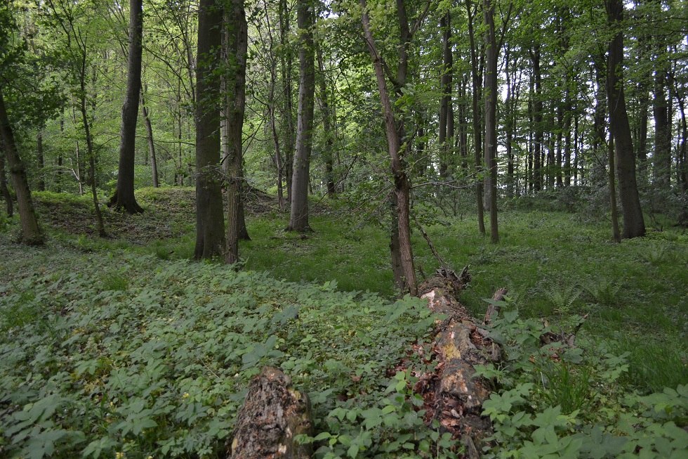 Widok wnętrza, pierścień wału jest wyraźnie widoczny., © Lutz Werner