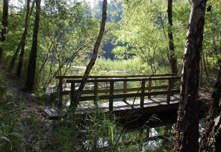 Het is moeilijk voor te stellen dat dit 50 jaar geleden een bijna vegetatieloos kraterlandschap was., &copy; Gabriele Skorupski