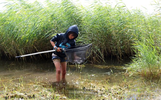 &copy; Biosph&auml;renreservat S&uuml;dost-R&uuml;gen
