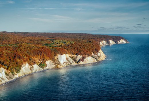 Chalk cliffs in Jasmund National Park at sunrise in the fall