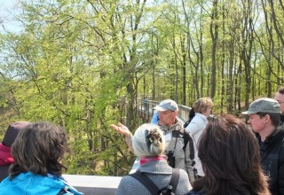 Guided tour of the treetop trail by a certified nature and landscape guide, © Martin Hagemann