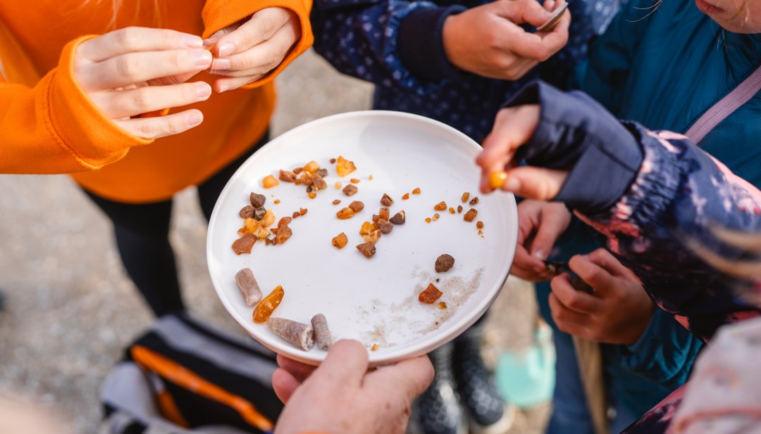 Kinderen houden een kom met vers verzameld barnsteen en zand vast tijdens een strandexcursie aan de Baltische Zee.