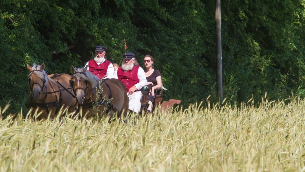 Odkryj wyspę poza utartymi szlakami, &copy; TMV/Raff