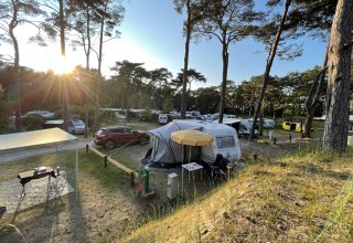 Kampeerplaatsen op de camping // © KV Trassenheide Kampeerplaatsen op de camping // © KV Trassenheide