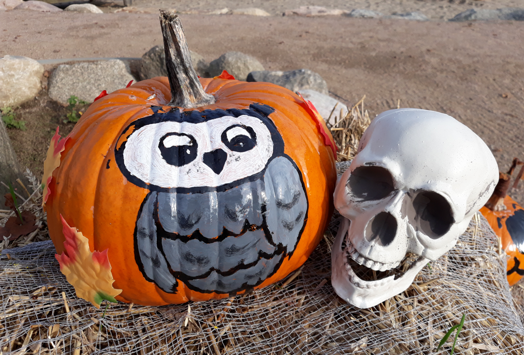 Halloween w parku, &copy; minimare der Entdeckerpark