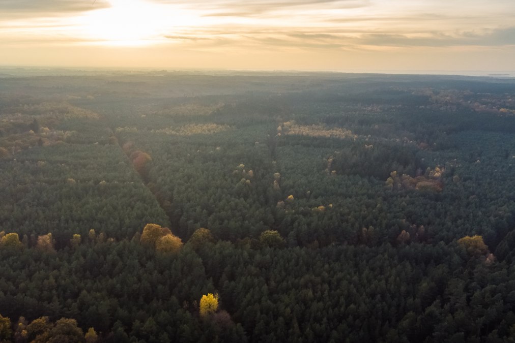 Barth city forest, © Arndt Gläser