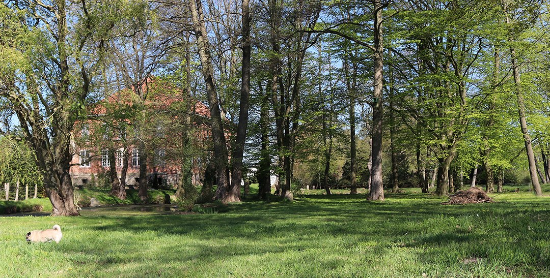 Park view Goldenbow manor house, © Herrenhaus Goldenbow