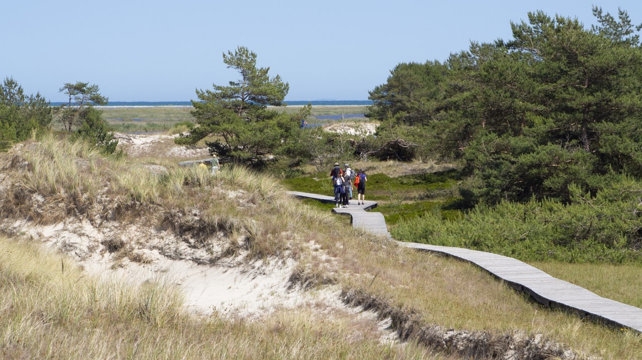 © Nationalparkamt Vorpommern © Nationalparkamt Vorpommern