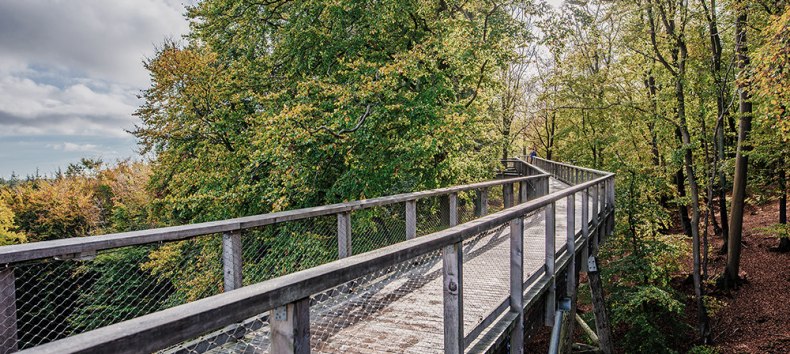 &copy; Binzer Bucht Tourismus