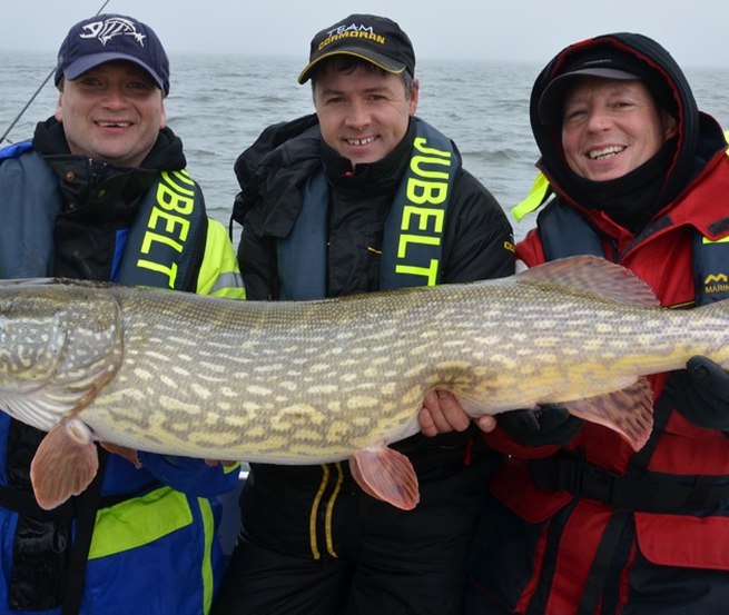 Grote snoeken zijn niet ongewoon in de Bodden-wateren // &copy; Guido Jubelt