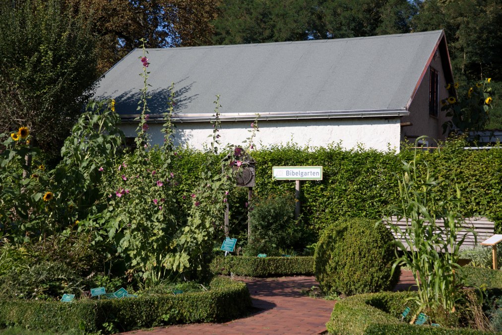 Bible garden, &copy; Stadt Barth