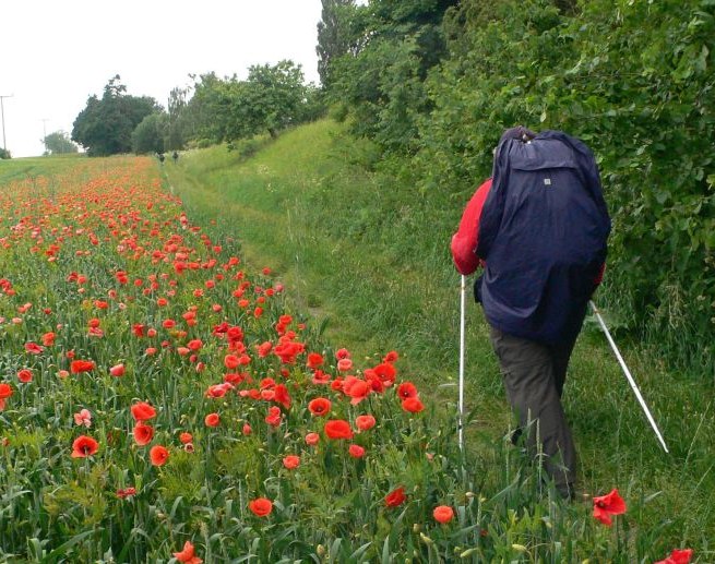 Wide land, so close to heaven - pilgrimage in Mecklenburg-Vorpommern, &copy; Archiv Ev.-Luth. Kirchenkreis Mecklenburg
