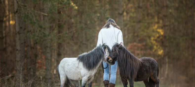Pferde reagieren auf unsere K&ouml;rpersprache // &copy; Anniemal Fotografie