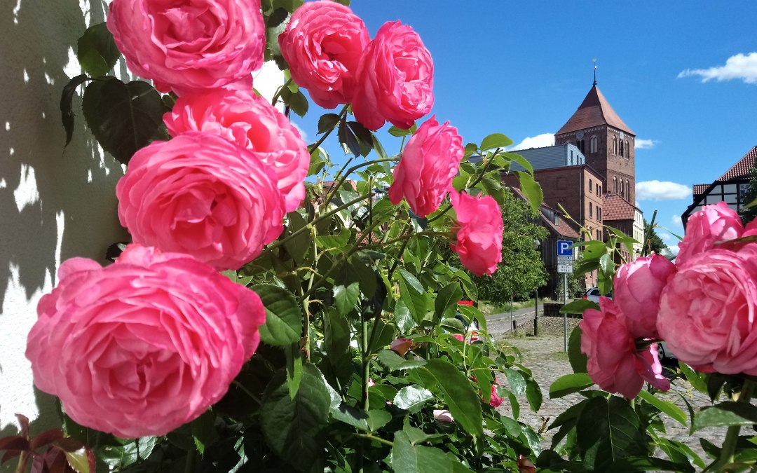 Stadskerk van het Mühlenviertel, © Jana Koch