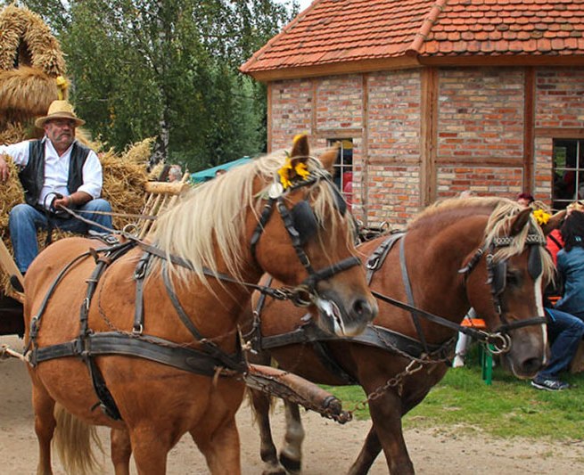 Festumzug // © Freilichtmuseum Klockenhagen Festumzug // © Freilichtmuseum Klockenhagen