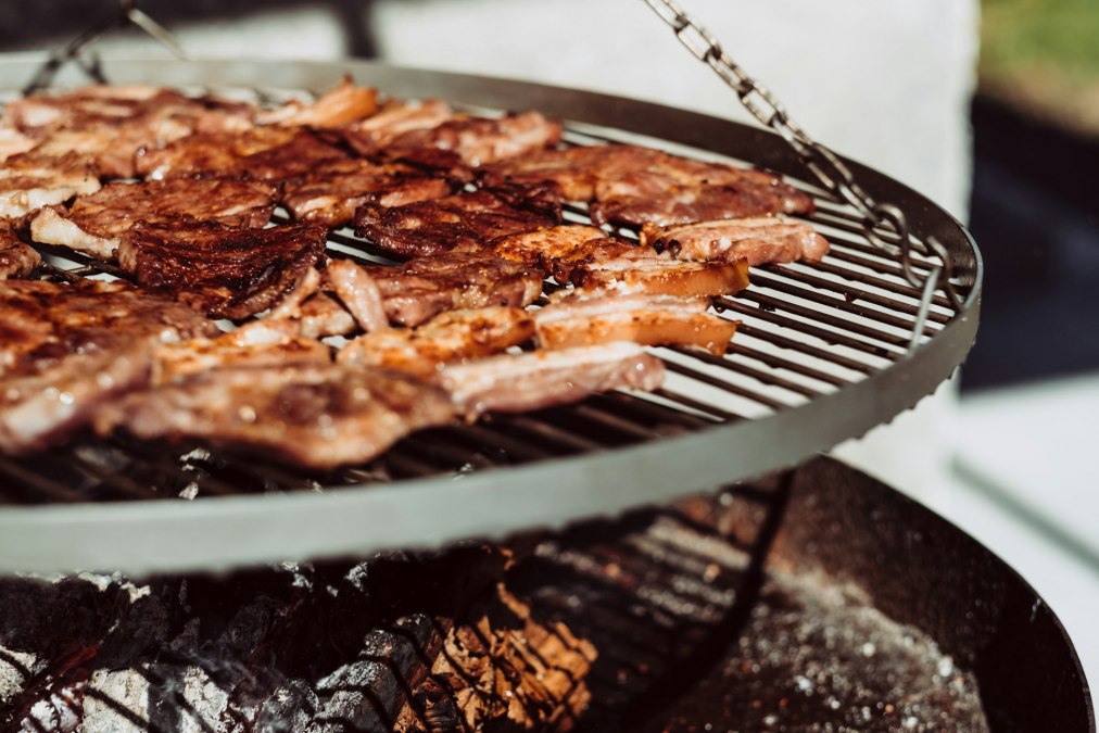 SYMBOL PHOTO | Nature & Game Week Graal-Müritz, © Foto von freestocks auf Unsplash