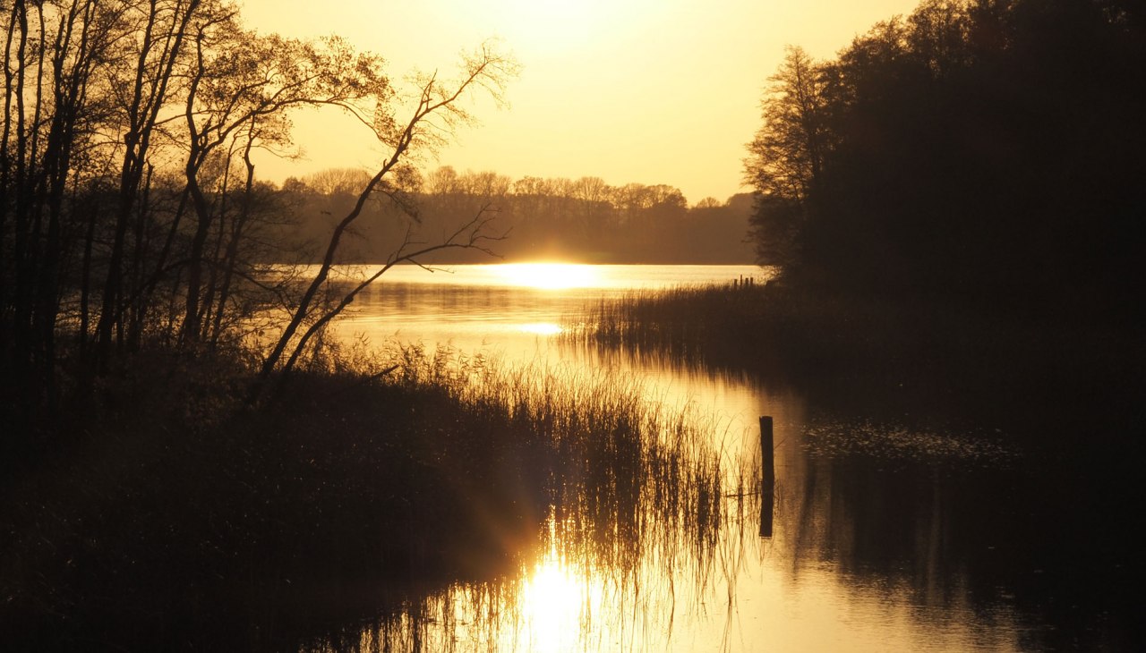 Badplaats bij Vilzsee, © Verein für innovative Jugendbildung e.V. Badplaats bij Vilzsee, © Verein für innovative Jugendbildung e.V.
