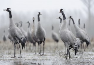 © Dieter Damschen © Dieter Damschen