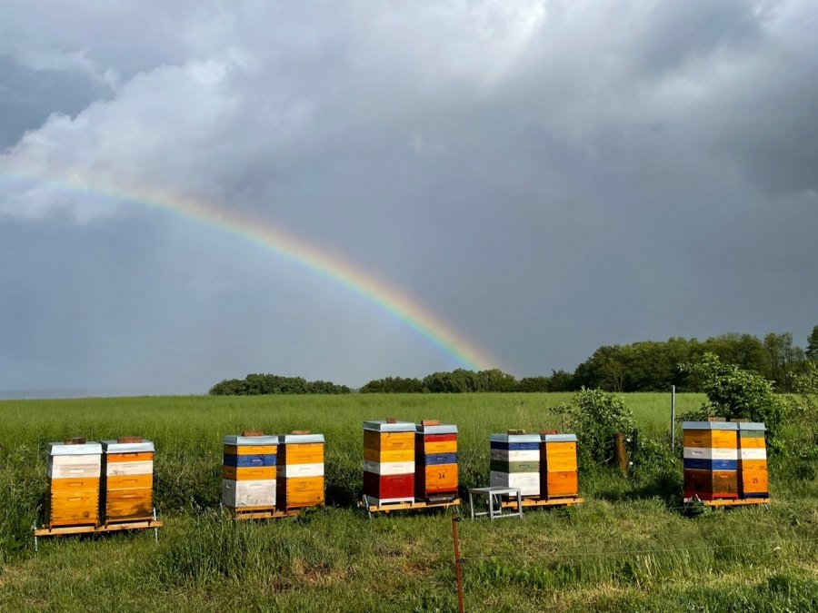 Onweerssfeer op de rivier de Peene, © Peter Wittenberg