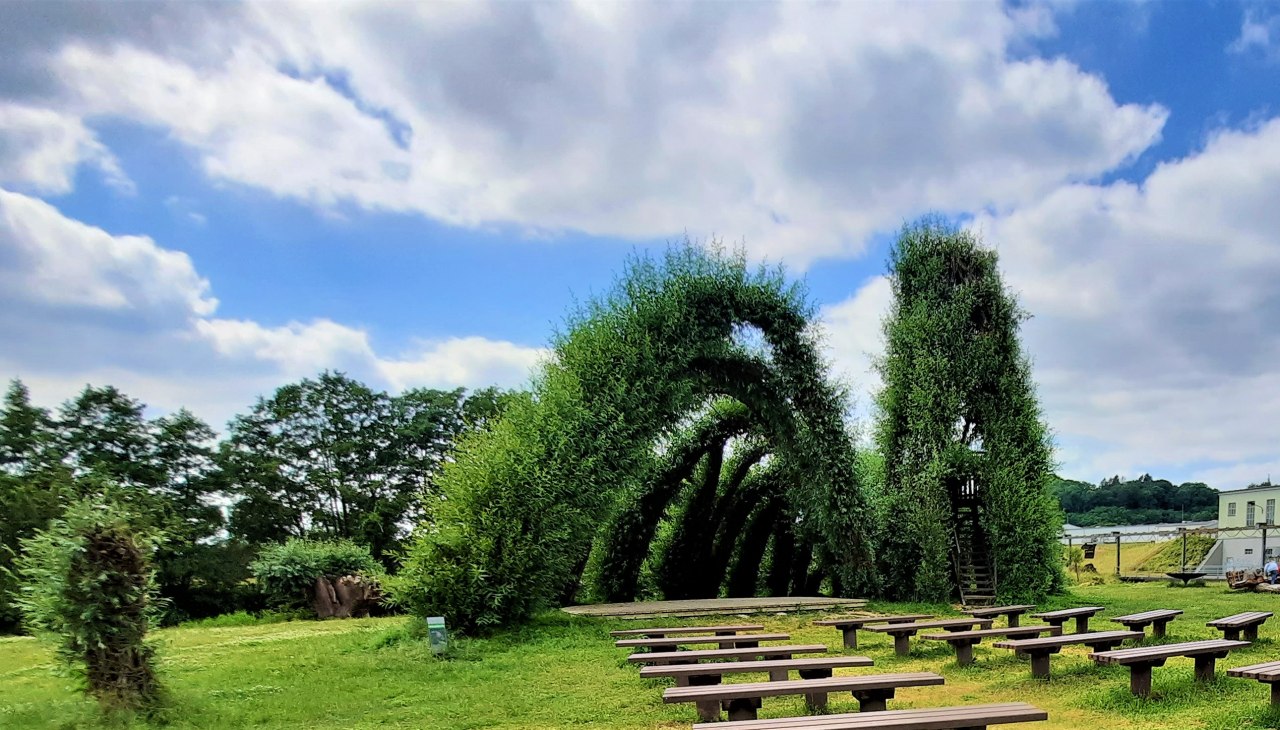 Willow snail and willow walk, © M. Lenthe