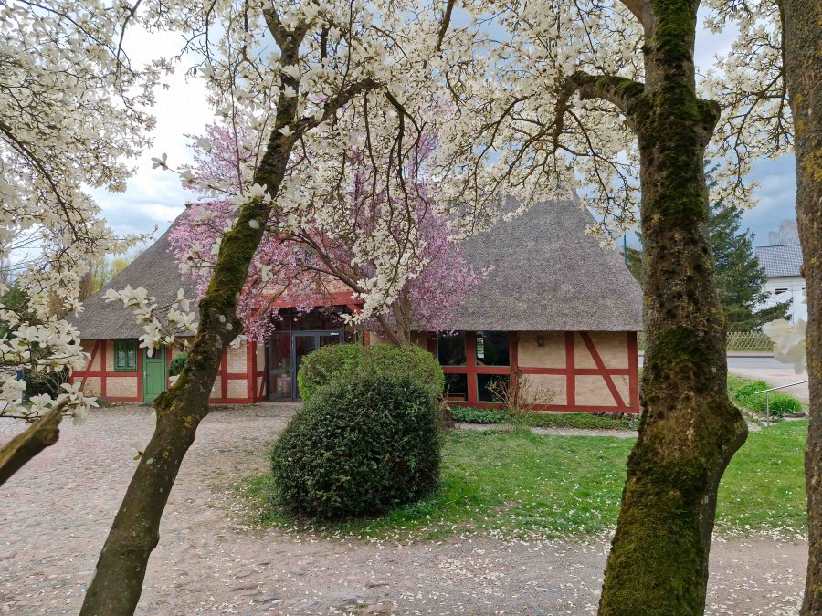 Kessin vicarage, © Martin Goffing