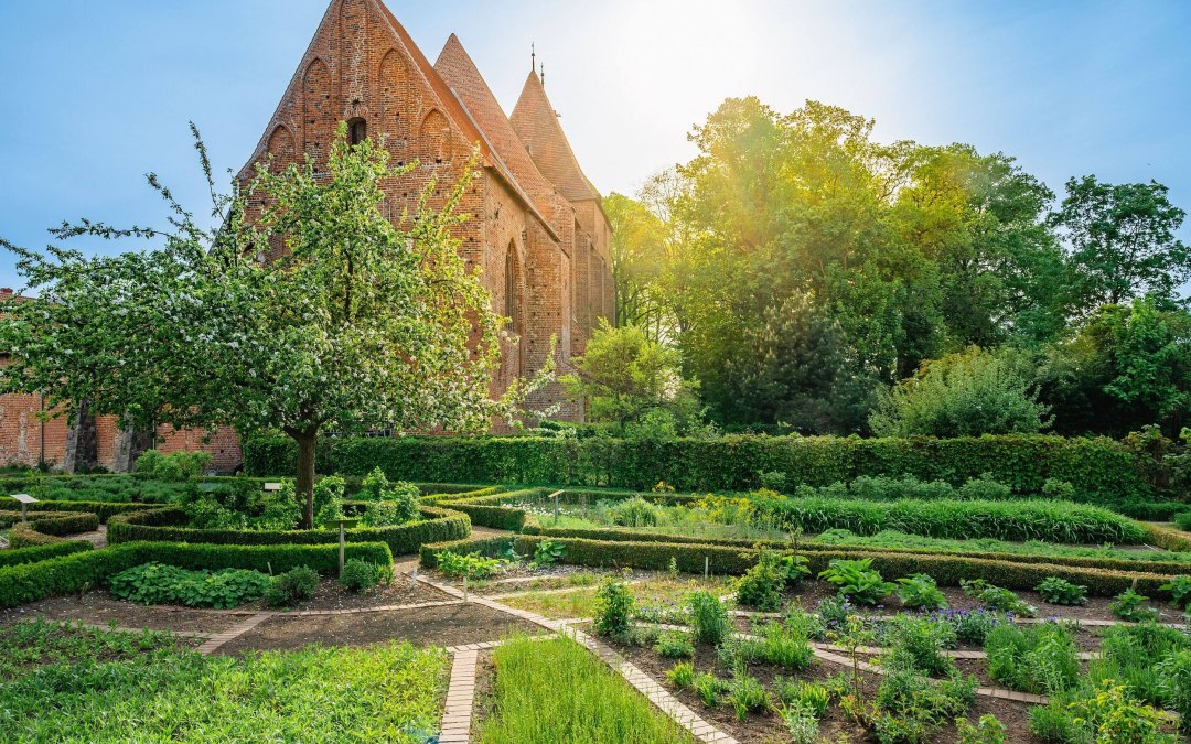 Ogr&oacute;d klasztorny Rehna, &copy; TMV/Tiemann