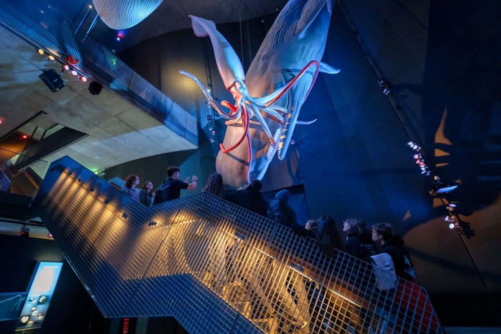 &copy; Anke Neumeister/Deutsches Meeresmuseum