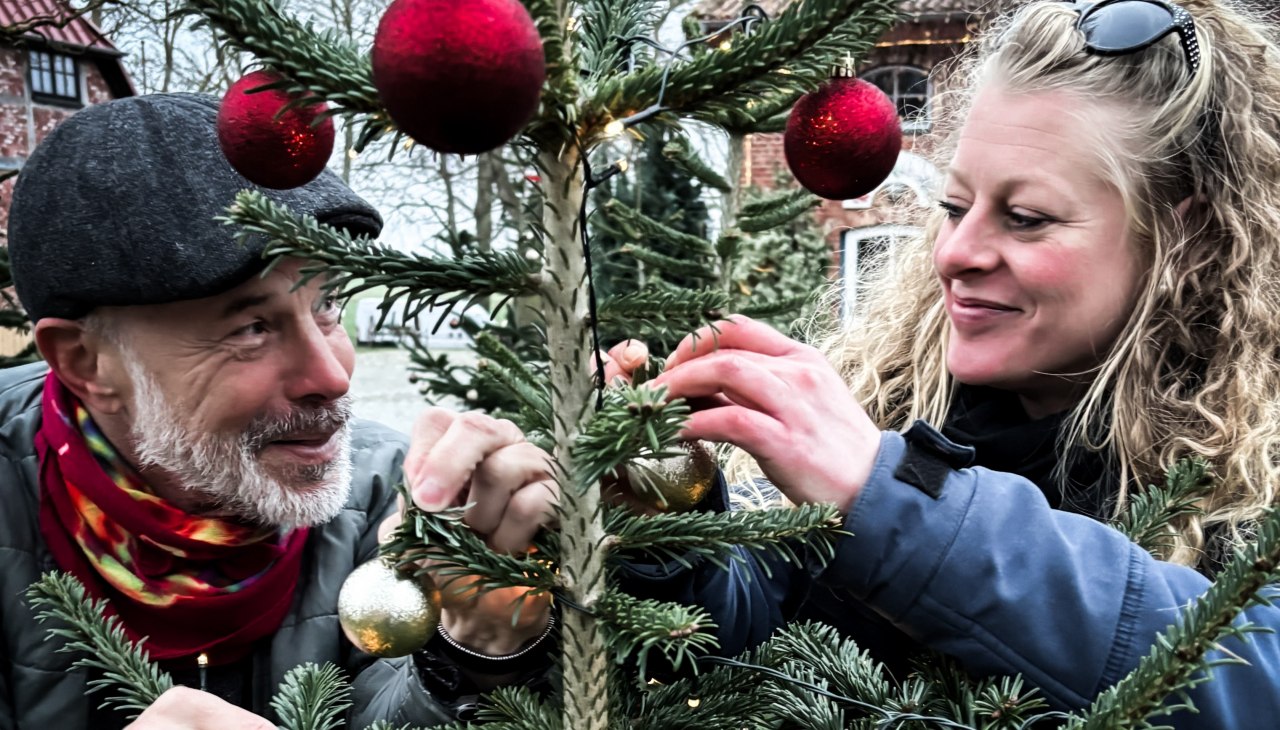 Giving TRee 2, © Katja Metz Giving TRee 2, © Katja Metz