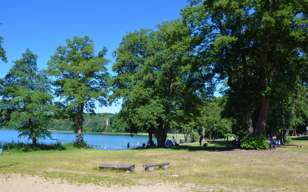 1_BROITER LUZIN - PLAŻA LICHTENBERG, © Martin Möller