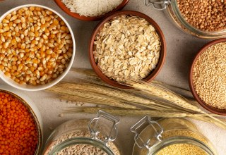 © MuSeEn gGmbH © MuSeEn gGmbH